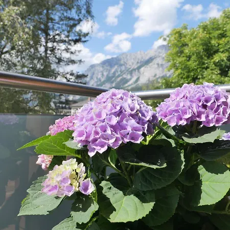 アパート Auszeit *